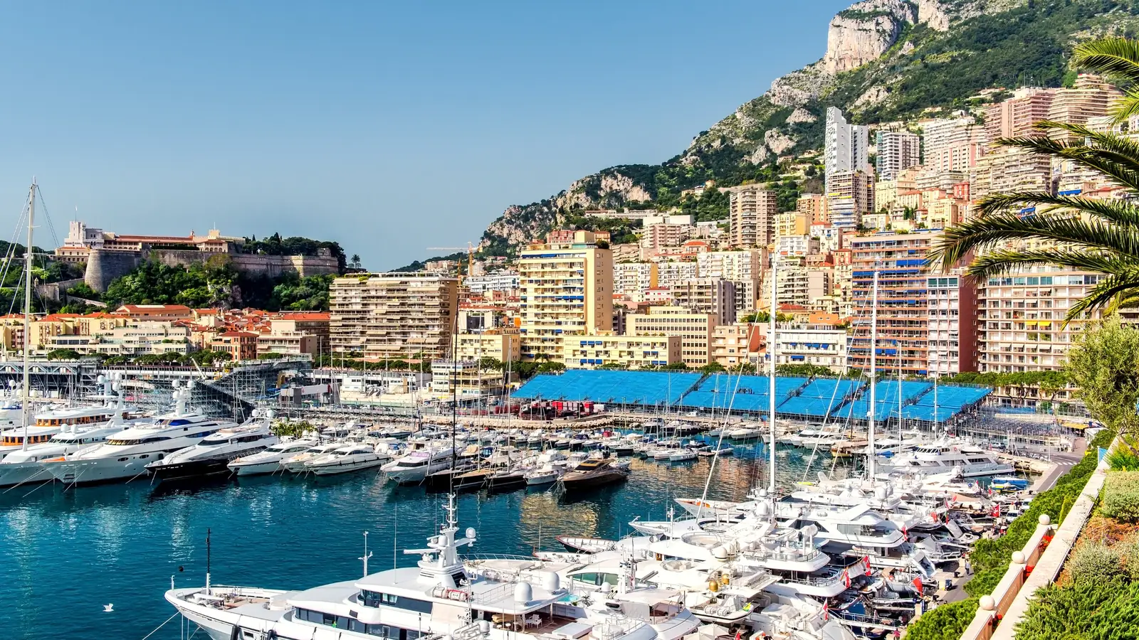 Port Hercule filled with yachts, with Monte-Carlo's apartment buildings rising up the hillside