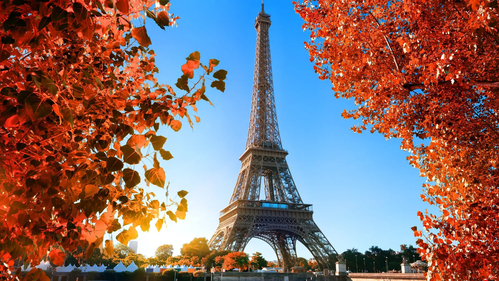 The Eiffel Tower framed by autumn leaves under a clear blue sky