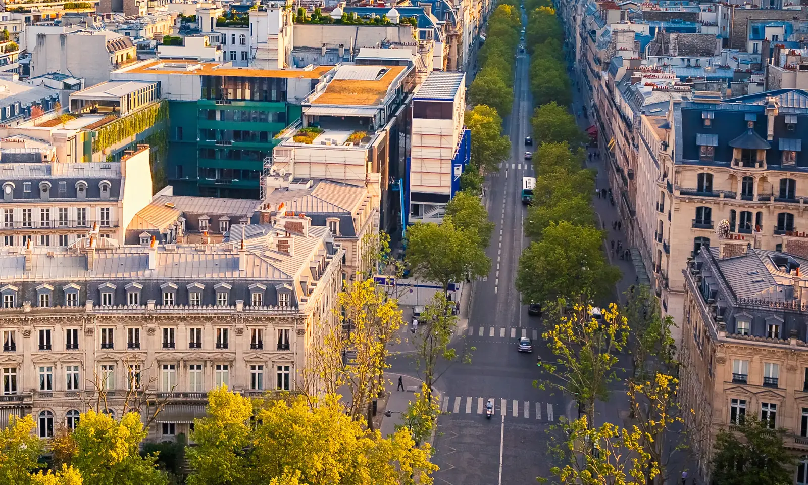 Haussmann apartment buildings and tree-lined avenues in Paris