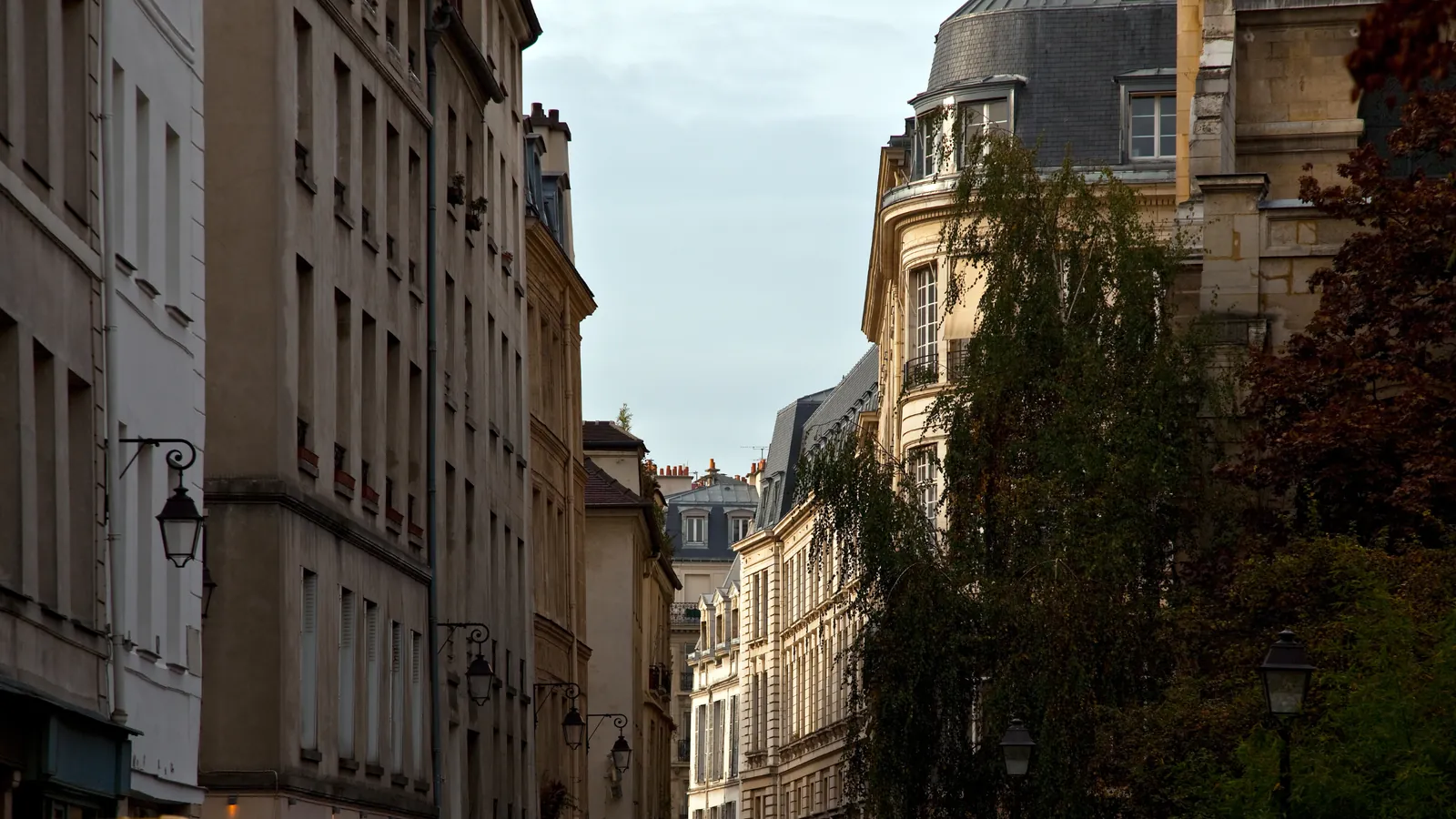 A Paris street lined with old stone apartment buildings and trees
