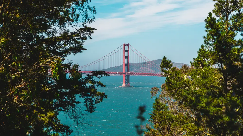 The Golden Gate Bridge framed by coastal trees