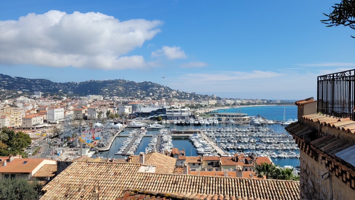 Cannes: A Global Stage for Lifestyle, Business, and Real Estate Investment 2 Realtor on the French Riviera , Asher McInerney , Agent , Real Estate Agent View of Cannes from the top of Le Suquet, overlooking the Port and Infamous Palais des Festival