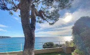 IMG-20250118-WA0036-300x183