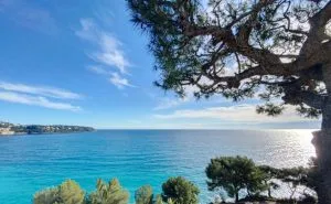 IMG-20250118-WA0038-300x185