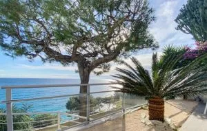 IMG-20250118-WA0039-300x191