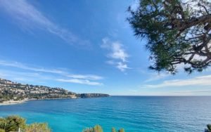 IMG-20250118-WA0040-300x188