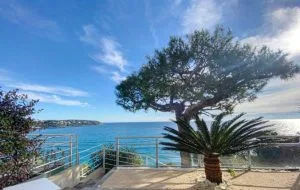 IMG-20250118-WA0041-300x190