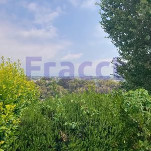3d36ea1073accfceec277d6730cc34bb_119c448dd3_1920